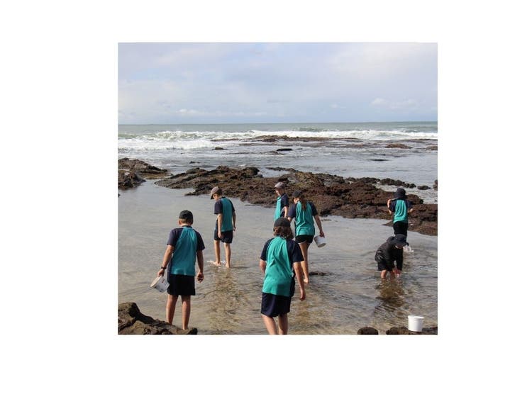 students at the beach on a beautiful day walking through the shallow waters on the rock platform